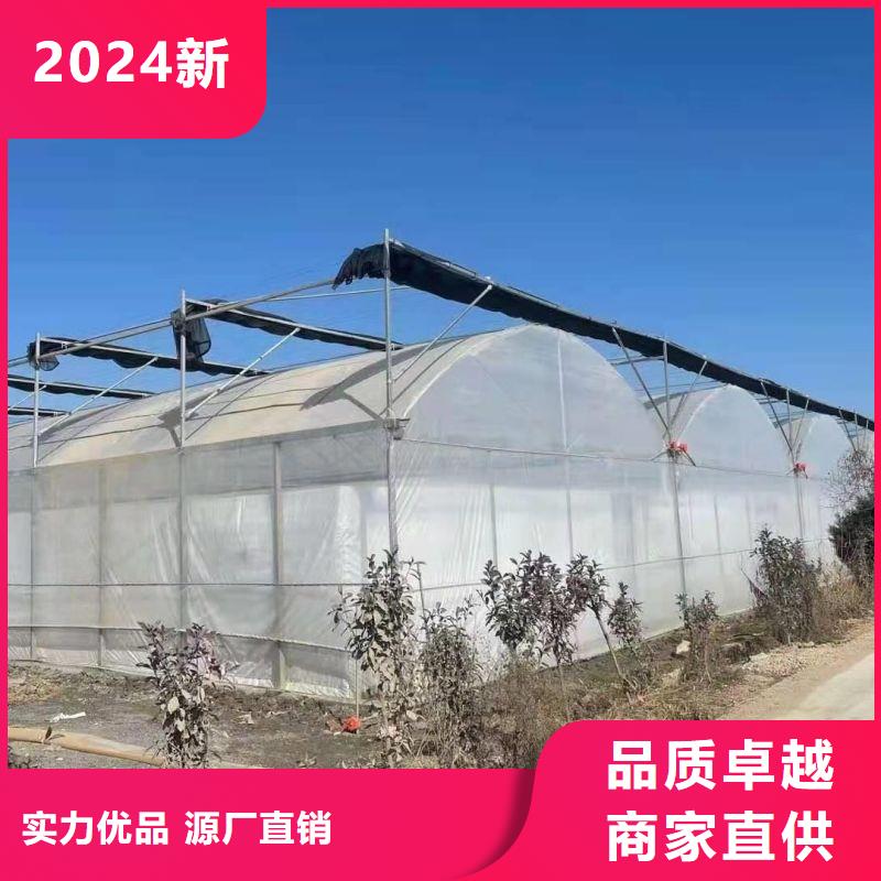 合山市绿色植物大棚骨架