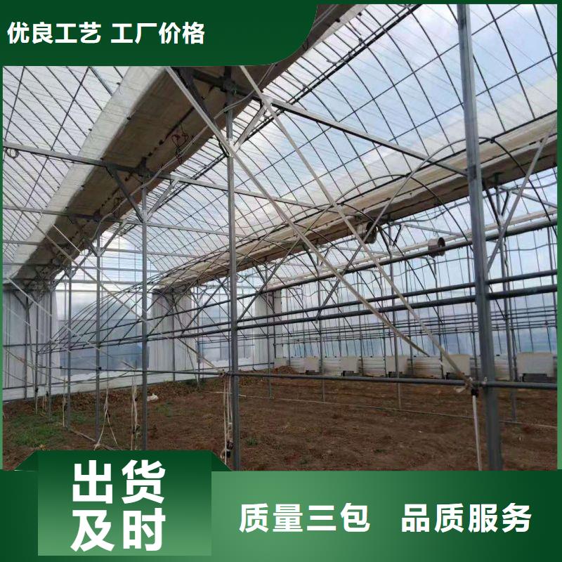 宝应连栋大棚种植价格2024