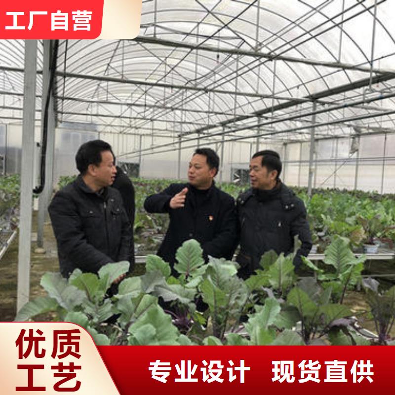 新津县西红柿大棚管折弯24小时免费在线咨询