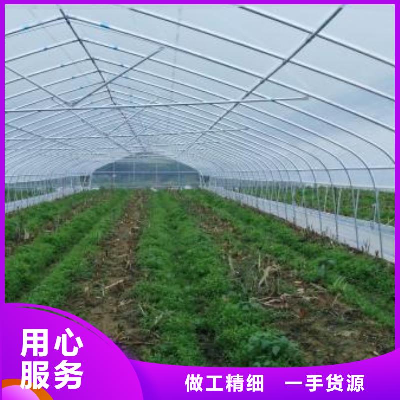 q195材质大棚管价格附着力强,