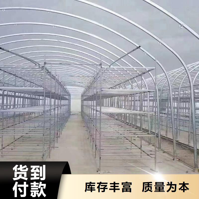 下城区国强湖北连栋薄膜温室大棚