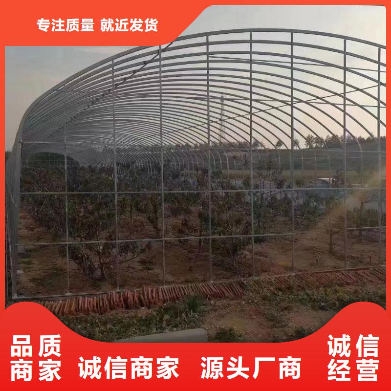 上海买发货速度快的温室大棚管批发商