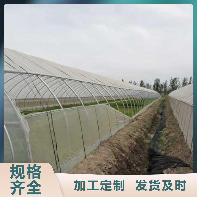 建始县连栋钢管骨架蔬菜大棚管批发市场位置