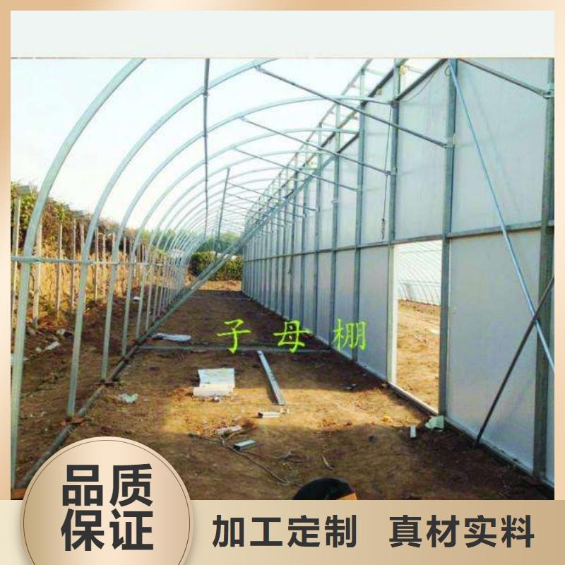【开封】批发蔬菜大棚管供应2023已更新