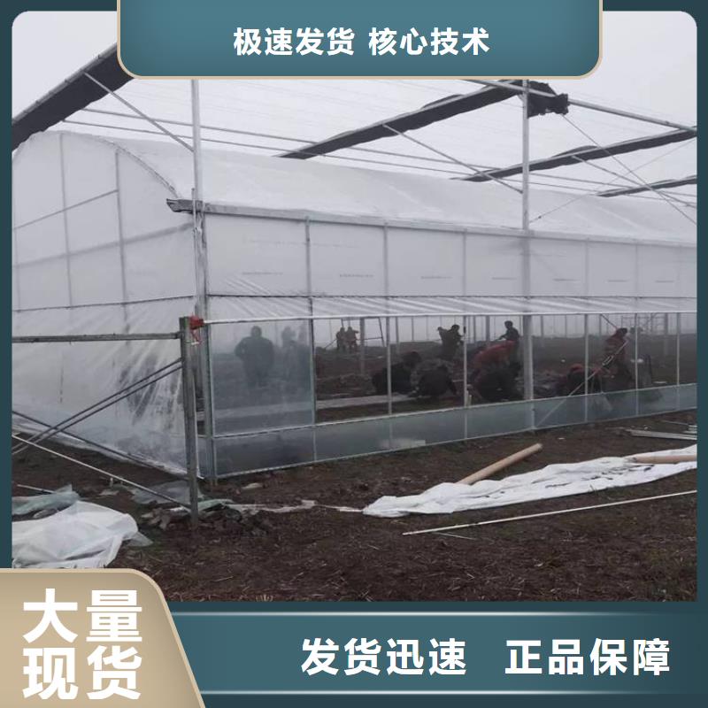 炎陵县薄膜连栋大棚种植基地