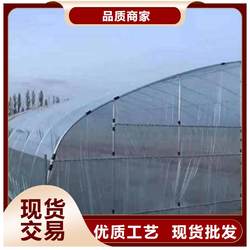 上海买发货速度快的温室大棚管批发商