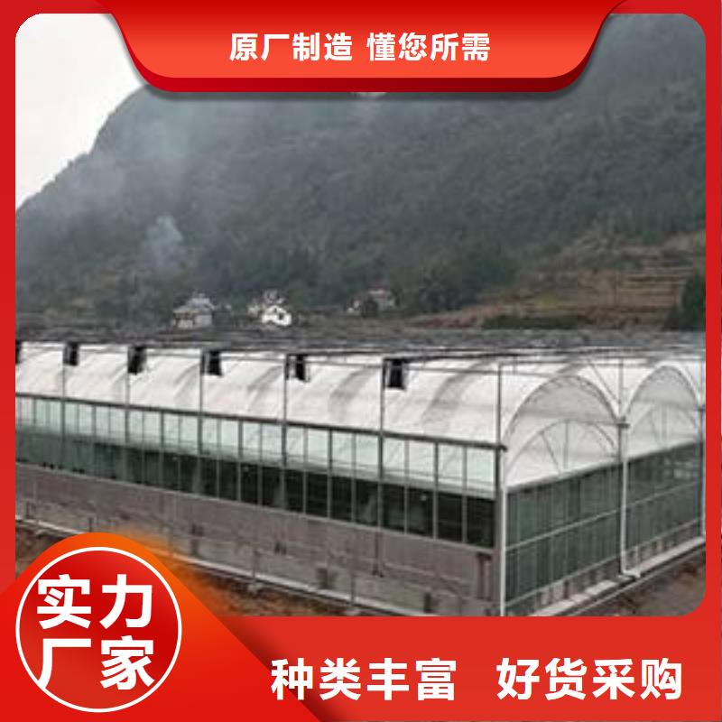 广东省订购<泽沃>化州市连体镀锌管 泽沃温室优秀行业