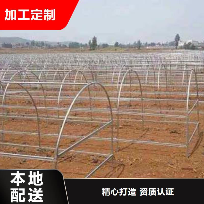 广东省订购<泽沃>化州市连体镀锌管 泽沃温室优秀行业