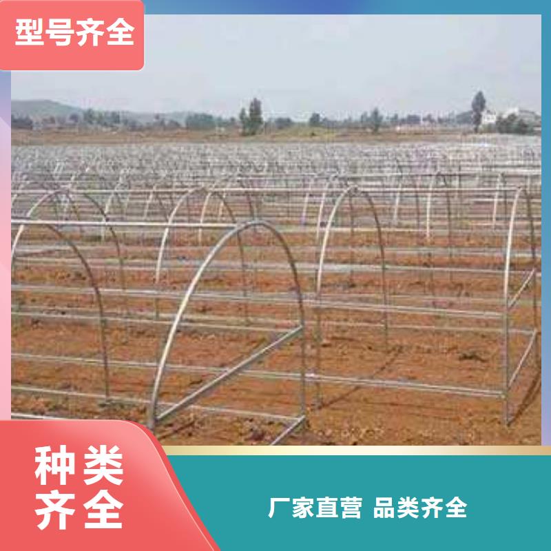 贵州支持非标定制(泽沃)凤冈大棚钢架直供厂家