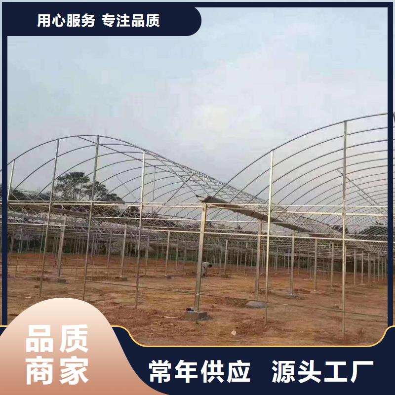 晋江市连体大棚钢管批发市场位置