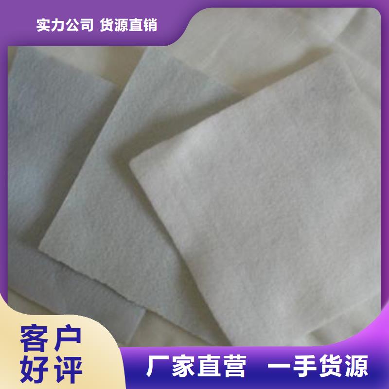 供应无纺长丝丙纶土工布（克重100gsm800gsm）