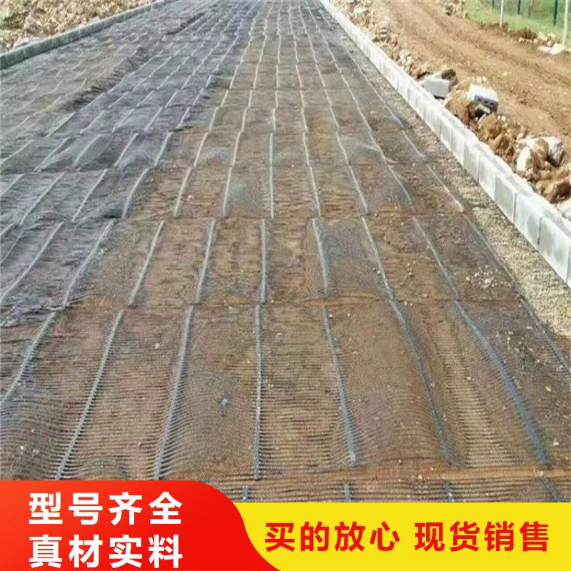 【单向塑料土工格栅】HDPE土工膜严格把控每一处细节