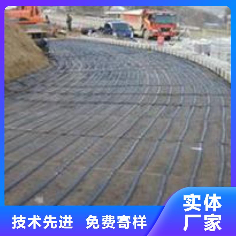 单向塑料土工格栅2024价格行情