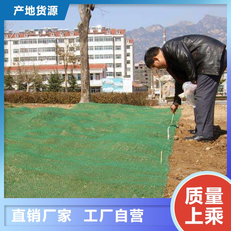 三维植被网单向塑料土工格栅一手货源