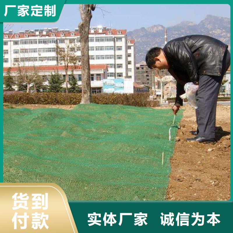 【三维植被网】蜂巢格室型号齐全