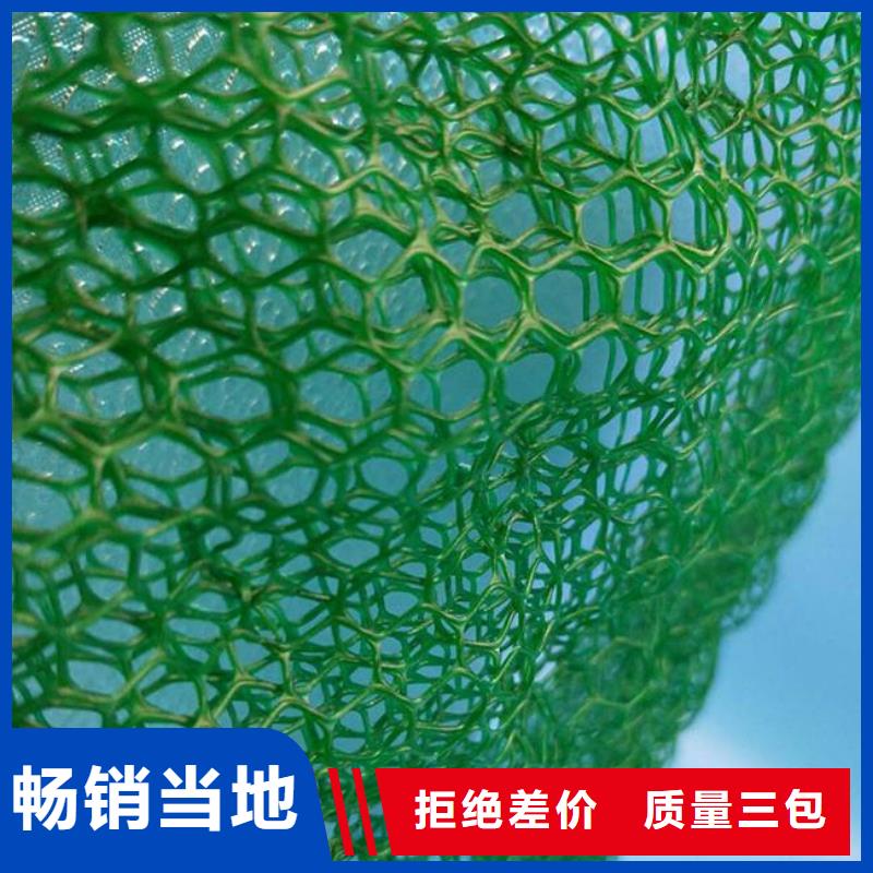 【三维植被网】三维植被网原理,三维植被网施工,特点,图片