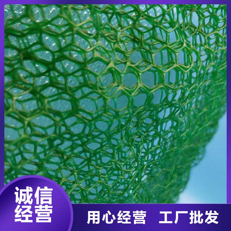 订购【恒丰】三维植被网膨润土防水毯研发生产销售