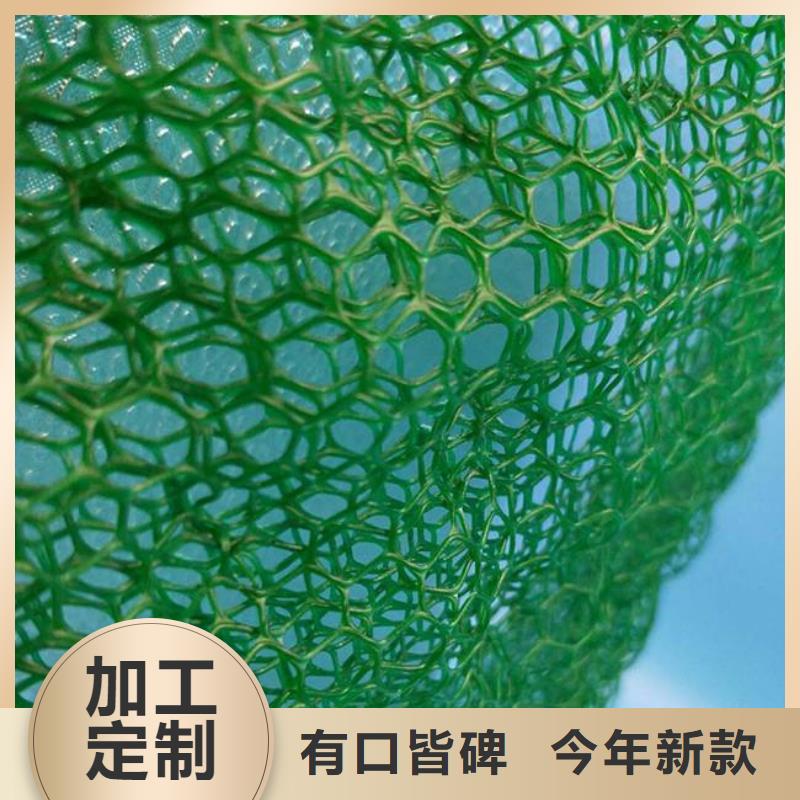 三维植被网,三维复合排水网,HDPE防渗膜