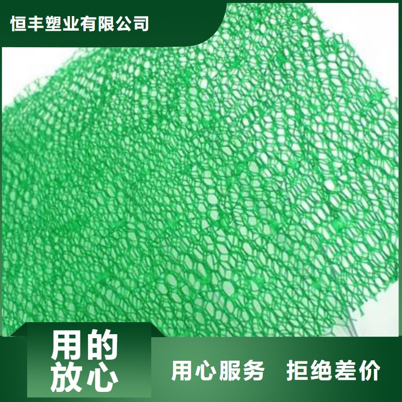 订购【恒丰】三维植被网膨润土防水毯研发生产销售
