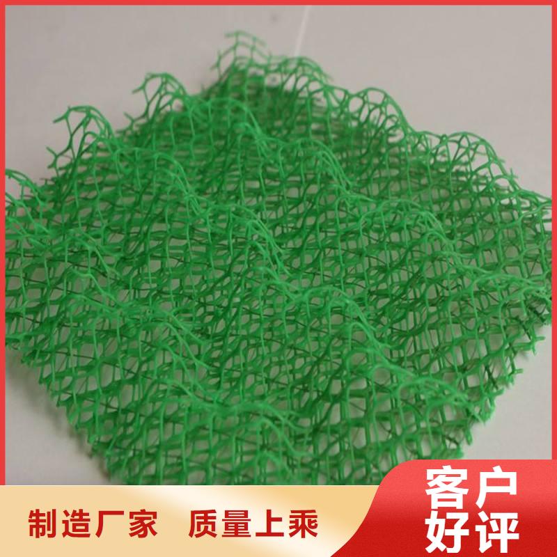 三维植被网|三维网垫植草护坡|三维土工网垫厂家