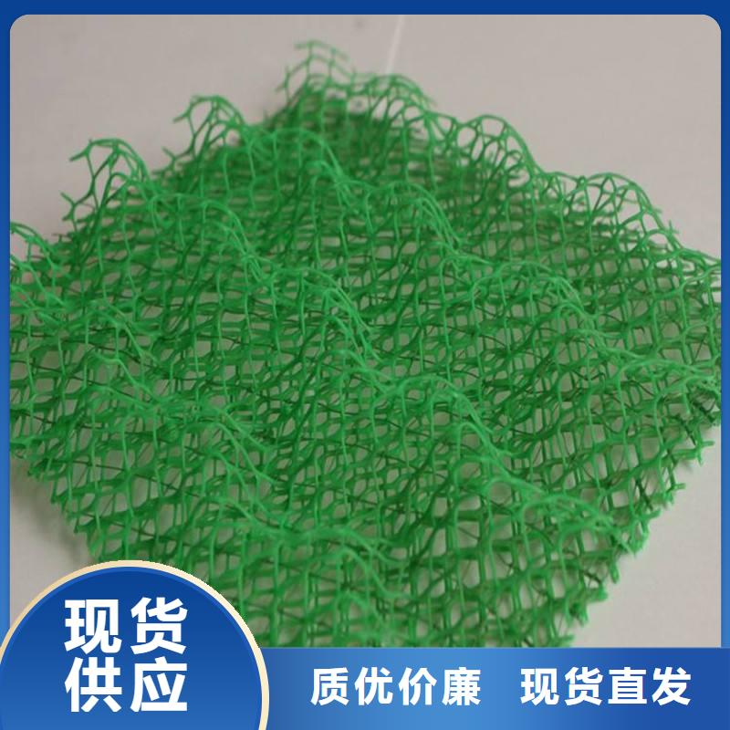 三维植被网-三维复合排水管