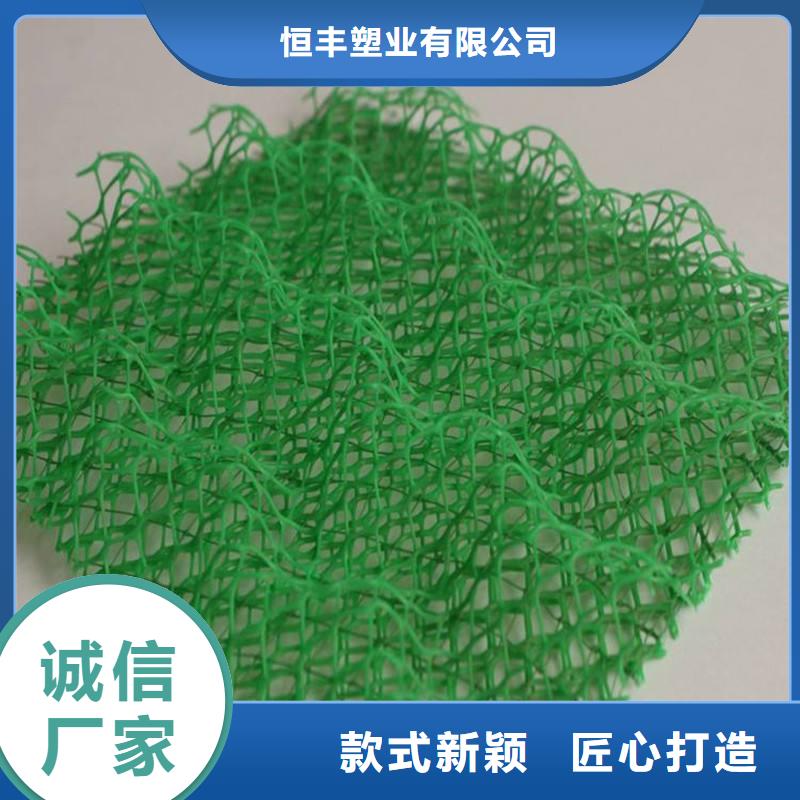 【三维植被网】三维植被网原理,三维植被网施工,特点,图片