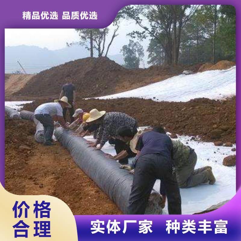 2024膨润土防水毯生产基地