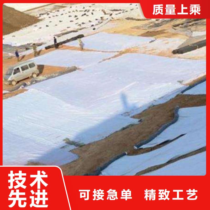 2024膨润土防水毯生产厂家-现货发货