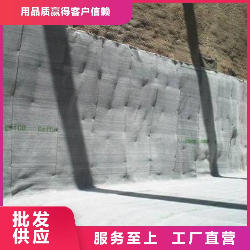 乐东县膨润土防水毯生产厂家