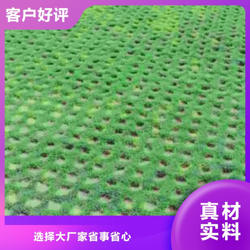 【植草格】PP焊接土工格栅品质优选