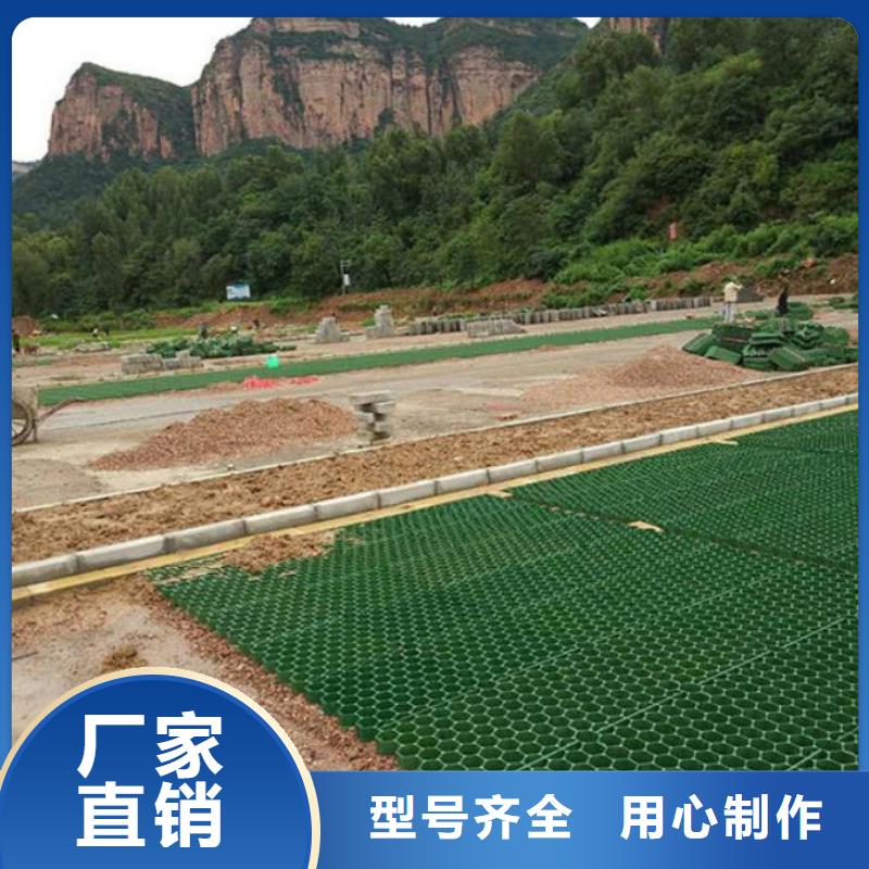 植草格_单向塑料土工格栅随心所欲定制