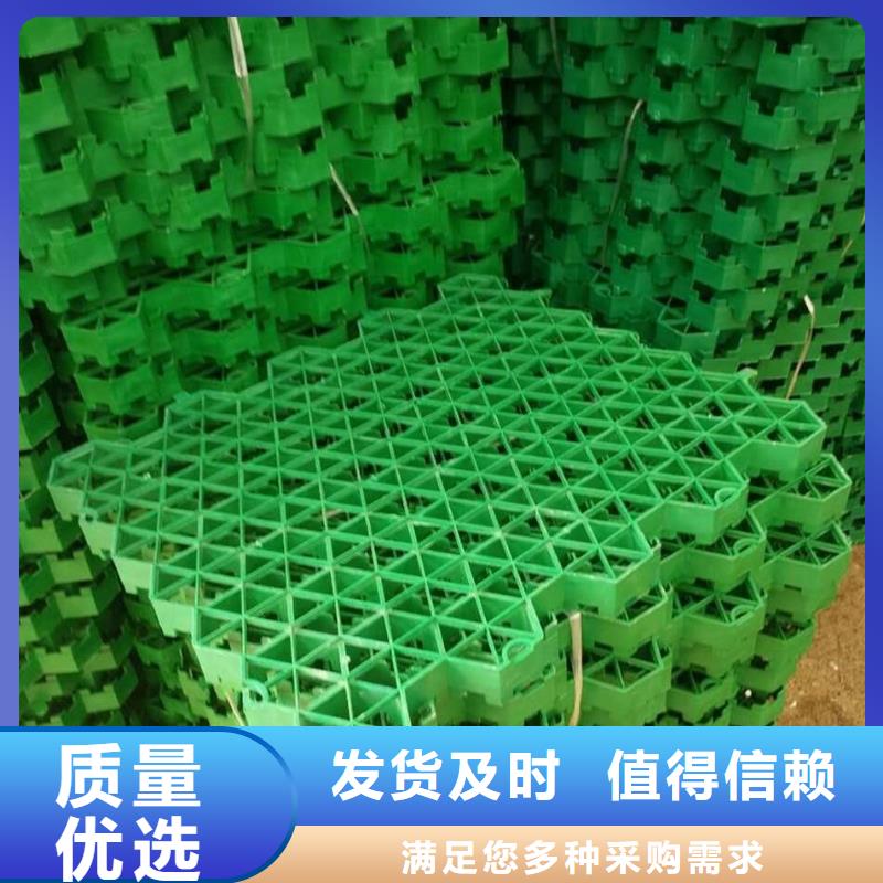 植草格【三维土工网垫】专业生产团队