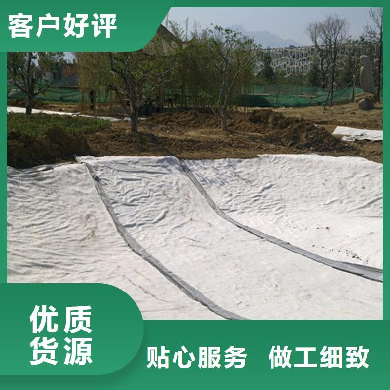 GCL钠基膨润土防水毯多规格可定制