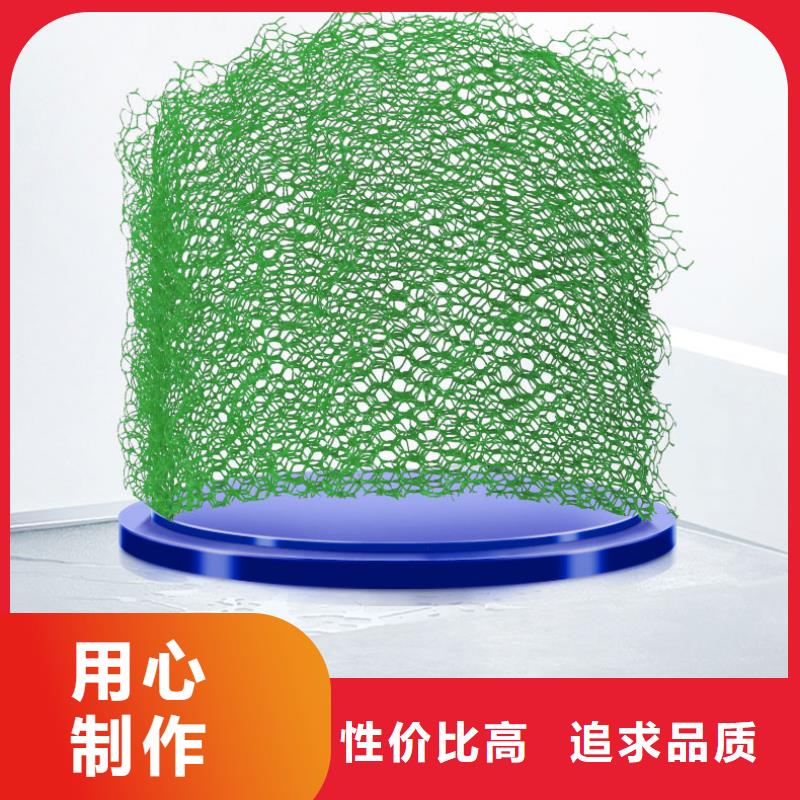 广州定制环保三维植被网多少钱一平方？