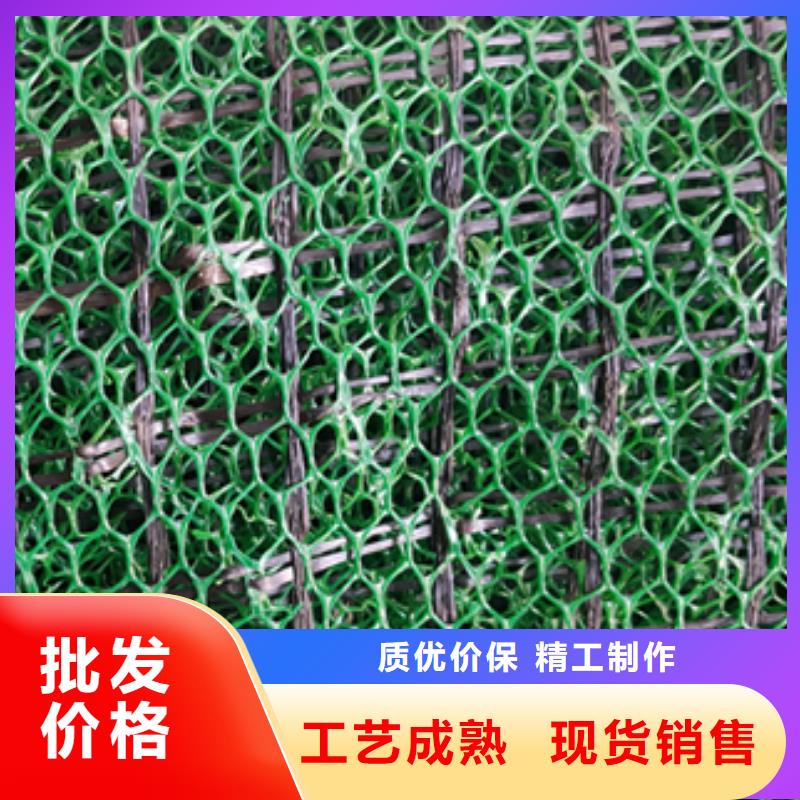 绿色三维植被网本年度最新报价