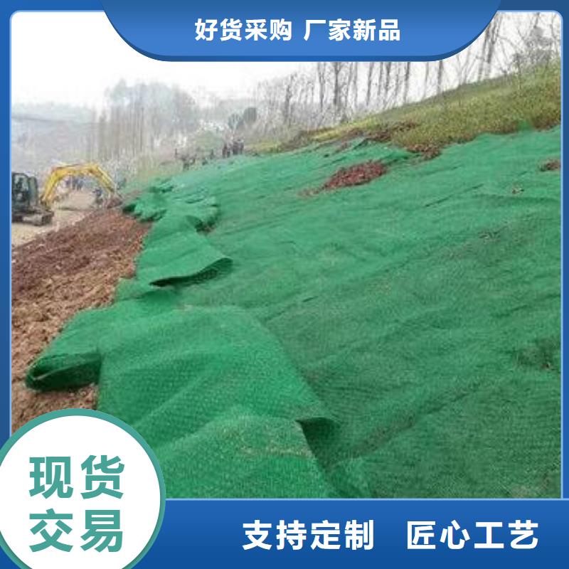 边坡防护三维植被网品质高/可定制