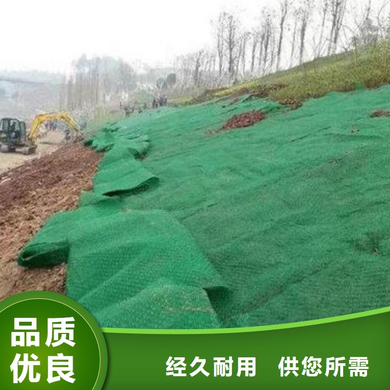 乐东县三维土工网垫多少钱一平产品规格有哪些
