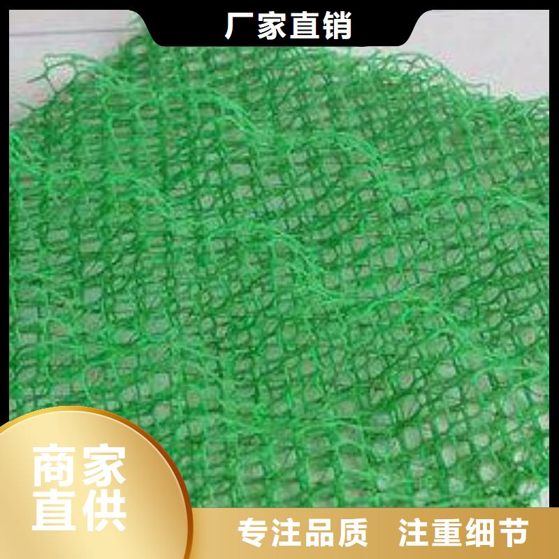 EM4三维植被网塑料植被网生产厂家-质优价廉