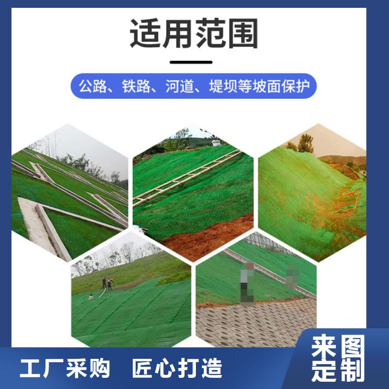 陵水县EM5三维植被网护坡植被网生产厂家-质优价廉