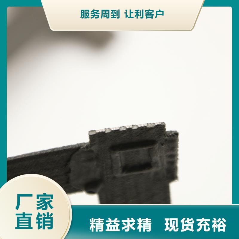 屯昌县双向土工格栅矿用钢塑土工格栅生产基地