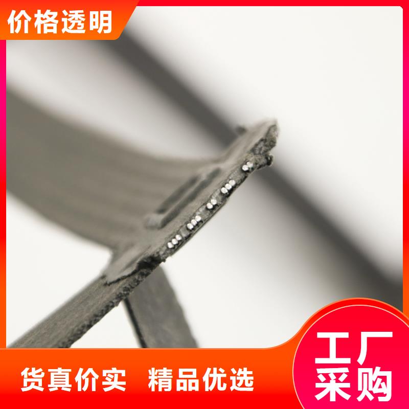 广州选购钢塑土工格栅焊接土工格栅最新报价