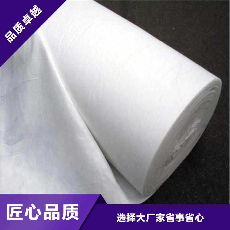 广州直销复合土工布生产厂家白色土工布价格