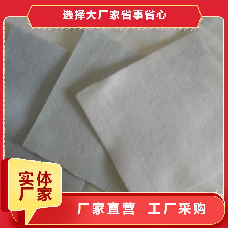 广州直销复合土工布生产厂家白色土工布价格