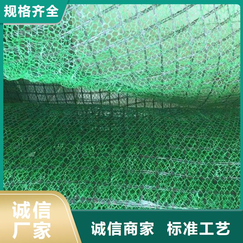 三维植被网厂家三维植被网垫价格生产基地