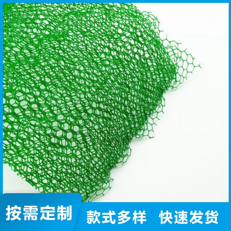 广州现货护坡三维网厂家土工网垫价格生产厂家