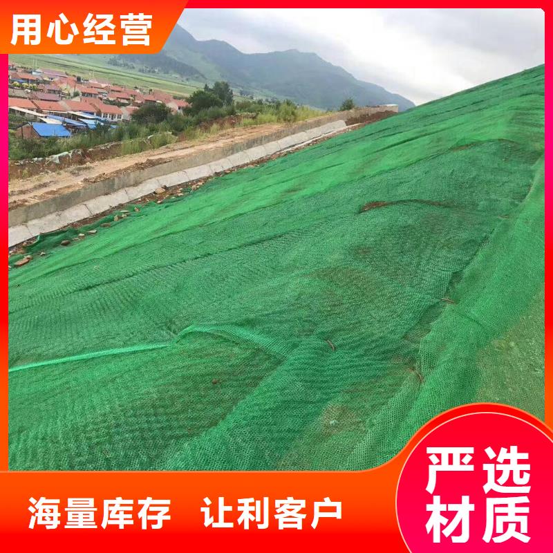 澄迈县咨询护坡三维网厂家三维植被网垫价格厂家直销