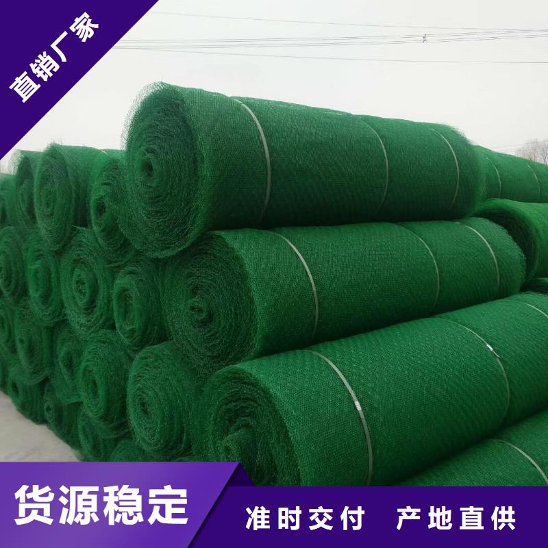 广州现货护坡三维网厂家土工网垫价格生产厂家