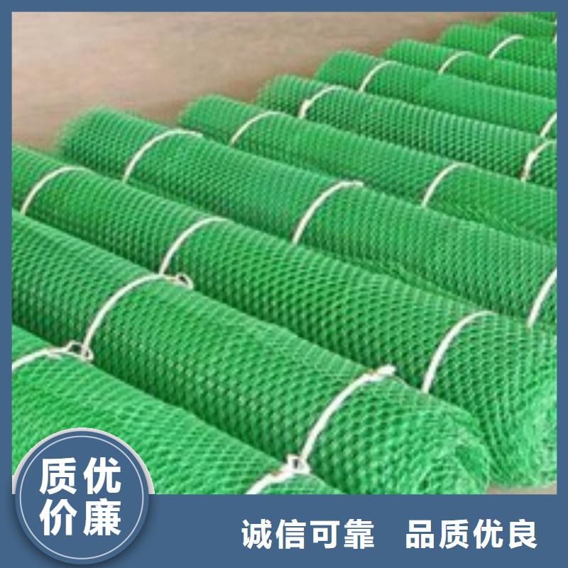 三维土工网垫厂家三维植被网垫价格生产厂家
