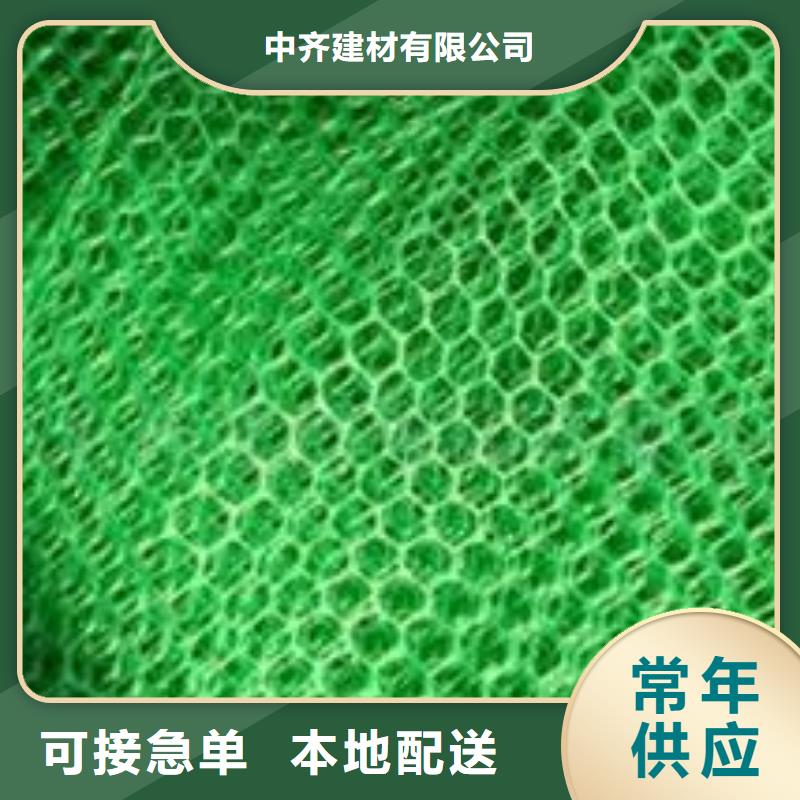 三维土工网垫厂家三维植被网垫价格生产厂家