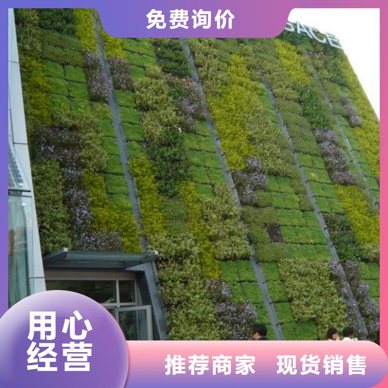 三维植被网玻纤土工格栅价格实惠